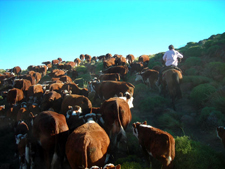 Argentina-Northern Patagonia-Estancia Getaway - San Martin